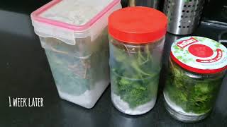 How to store coriander leaves fresh for long/how to keep coriander leaves fresh for long