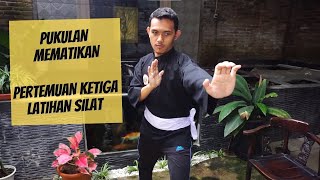 PERTEMUAN KETIGA LATIHAN SILAT, " Teknik Pukulan Dasar  2"