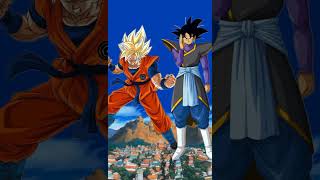 Goku vs black Goku