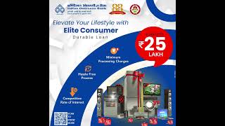 IOB's Elite Consumer Durable Loan