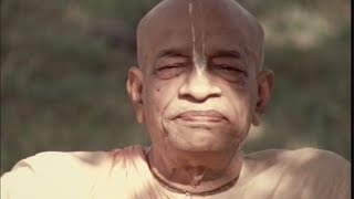 Śrīla Prabhupāda - ShortBhaktiVids 01 {God Consciousness}