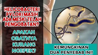 TIDAK SEMBUH SETELAH PENGOBATAN HELICOBACTER PYLORI? MUNGKIN PENYEBABNYA!