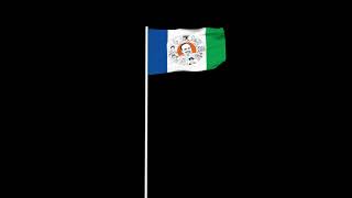 #YSRCP FLAG || GREEN SCREEN || ANIMATION |