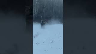 Polaris 850 wheelies