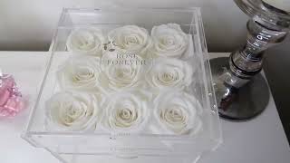 Review Rose Forever New York - Crystal Essential Ivory Preserved Roses