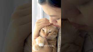 The Secret Meaning of Cat Purring #cats  #catvideos #catlovers #cat #catpurring