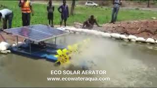 Ecoaquaculture Solar paddle aerator run 12-24hours per day