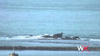 Mavericks Surf Report November 3, 2014