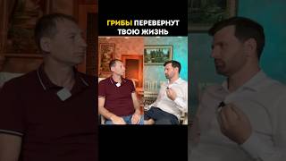 Грибы перевернут твою жизнь ￼