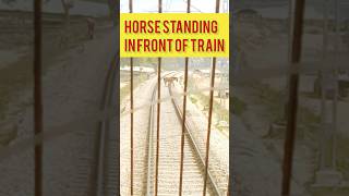 horse standing in front of train #train #alltypesoflocomotiveindianrailway #railway #vandebharatexp