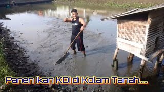 PANEN IKAN KOI...| CIMAHI CISAAT SUKABUMI