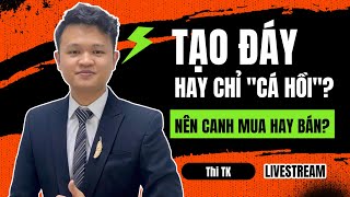 Chứng khoán hôm nay 06/08/2024: Tạo Đáy hay "Nhịp Hồi"? Nên mua hay bán? #chungkhoanhomnay