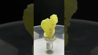 Rare 14 ct Brucite Specimen from Balochistan, Pakistan for 15$ #viral #preciousgemstones #trending