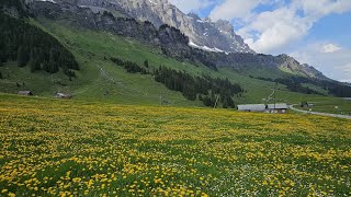 Mountain of Dragons Pilatus