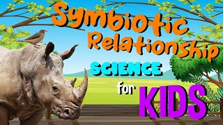 Symbiotic Relationship | Science for Kids