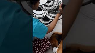 Levitating Mandala Wall | #shorts #mandala | Miss Talent