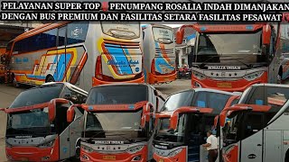 PELAYANAN SUPER TOP‼️PENUMPANG ROSALIA INDAH DIMANJAKAN DENGAN BUS PREMIUM DAN FASILITAS TERMEWAH⁉️