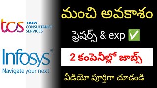 Infosys, Tcs లో direct jobs🔥 | Infosys recruitment 2024 | tcs recruitment 2024 | tcs | infosys