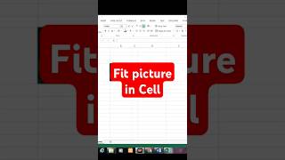 Fit picture in excel cell #exceltricks #exceltips #exceltutorial #excelacademy #excel #excelclasses