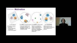 Steering Distortions to Preserve Classes and Neighbors in Supervised Dimensionality Reduction