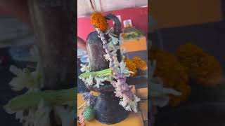 Hari Om Har Har Mahadev #sawanspecial #somwar #bholenath #viral #shorts #trending #trend