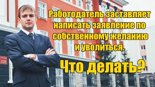 Работодатель заставляет написать заявление по собственному желанию и уволиться. Что делать в 2024?