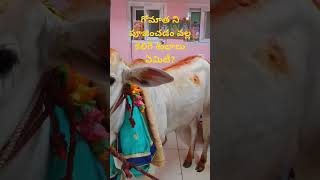 గోమాత గురించి చాగంటి ప్రవచనం#ytshorts #chaganti #motivation #trending #whatsappstatus #viralvideo#yt