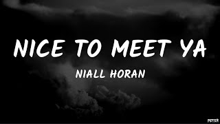 Niall Horan - Nice to meet ya (Lyrics)