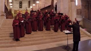 Konsert med Karlstads Motettsällskap - Lunds Domkyrka 25 November 2017