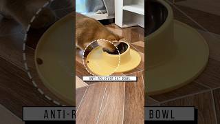 Anti-rollover cat bowl, Link is on bio or copy:www.niopets.com