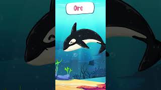 Exploring the World of Animals : Ocean Animals Part 3 #shorts #animals