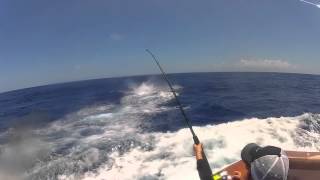 big marlin clip