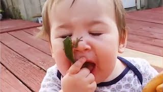 Funniest Moments Babies Meet Animals - Funny Animals Compilation 😂 [Funny Pets]