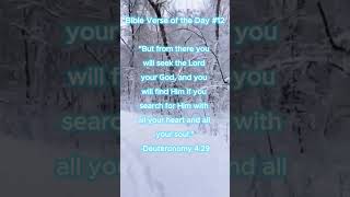 #shorts Bible Verse of the Day #12 Deuteronomy 4:29 #bibleverse #christian #god #jesus #jesuschrist