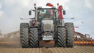 Les semis de blé au Danemark 🇩🇰🌱