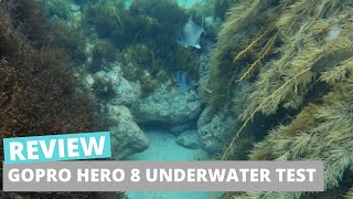 GoPro Hero 8 Underwater Test - Apollo Bay Victoria Australia