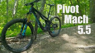 Pivot Mach 5.5 Review