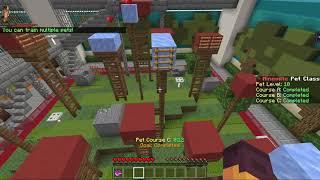 Mineville Bedrock | Pet Class - Course C Speedrun