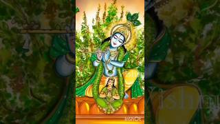 happy tulsi pojan #devuthaniekadashi2024 #trendingshorts