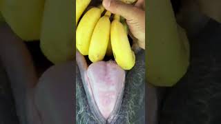 Eat a bunch of bananas easily. Watch the whole series in one breath. Elephant eating bananas: Dr