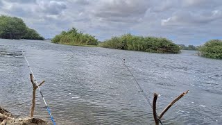 Não  importa se a água ta gelada, o pescador vai para o rio e pesca peixe. #pescaria #pescador #fish