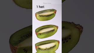 selang waktu buah kiwi #timelapse #buah #kiwi #buahkiwi