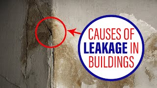 Causes of Leakage in Buildings | Aligi