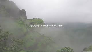 The Beauty of Maharashtra During Monsoon  -  IN 3 MINUTES