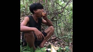 Survival skills | find natural wild fruit in the rainforest