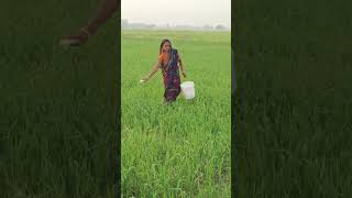 अपनी भी जिंदगी में खुशीयो का पल आएगा #Dilip Kumar vlog105#blog video #trending video #viral video