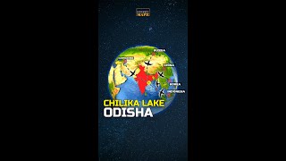 Why Odisha’s Chilika lake is a HEAVEN for Birds & Tourists? [Mapchic]