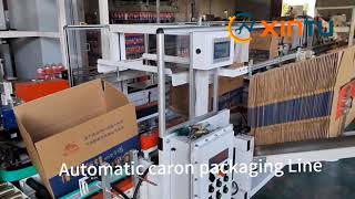 Automatic packaging and palletizing lines for manufacturing plants