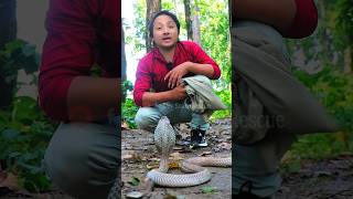 NAJA NAJA NAGPANCHAMI information #dev_snake_rescue #snake