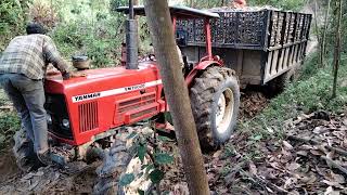 Thua rồi anh em tractor